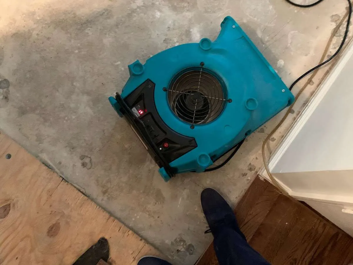 Air mover drying subfloor during Commercial Water Damage Restoration in Los Osos